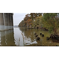 Williamsburg/James Cty King Tide image